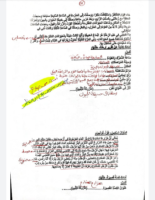 نماذج الوزارة لغة عربية رابعة ابتدائى ترم تانى 2022